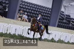 25R13_14743 thumbnail