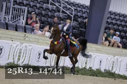 25R13_14744 thumbnail