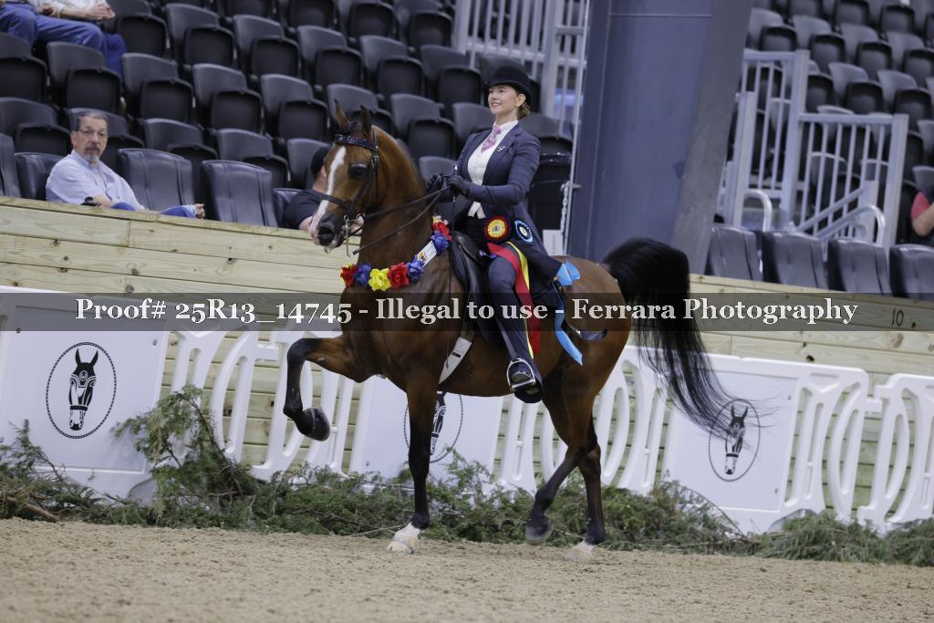 Proof Number 25R13_14745