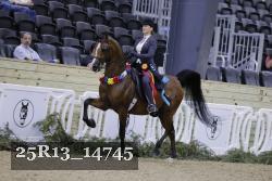 25R13_14745 thumbnail