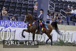 25R13_14746 thumbnail
