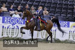 25R13_14747 thumbnail