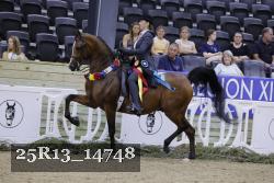 25R13_14748 thumbnail