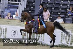 25R13_14749 thumbnail