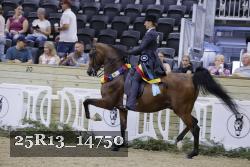 25R13_14750 thumbnail