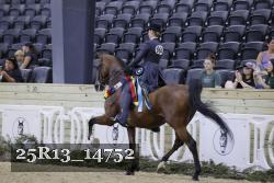 25R13_14752 thumbnail