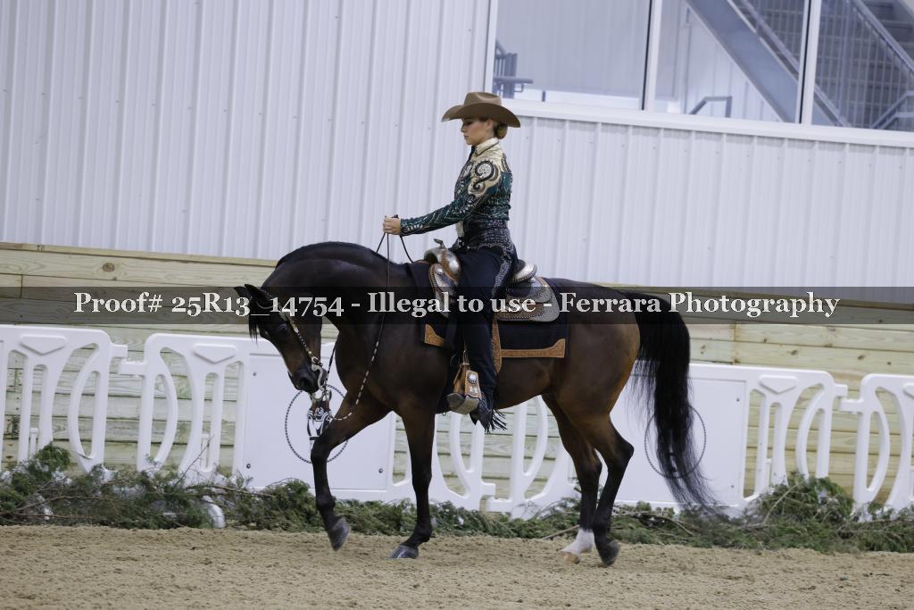 Proof Number 25R13_14754