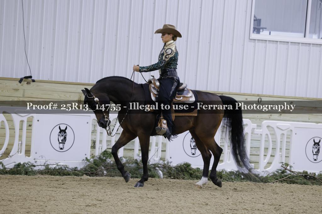 Proof Number 25R13_14755