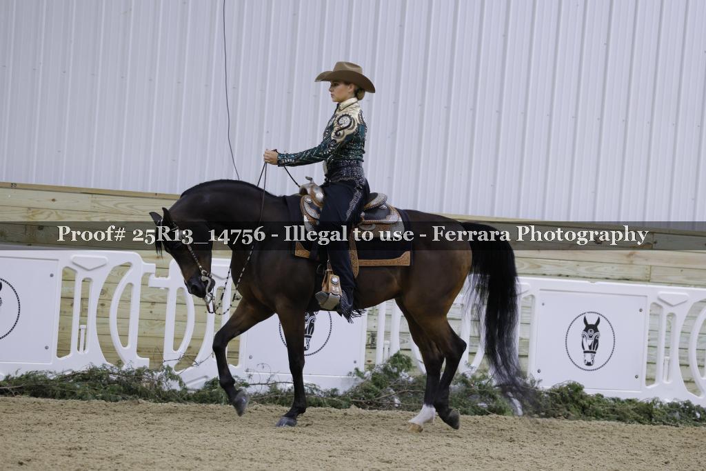 Proof Number 25R13_14756