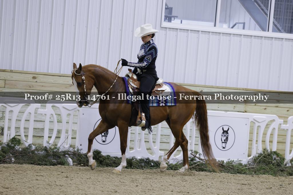Proof Number 25R13_14761
