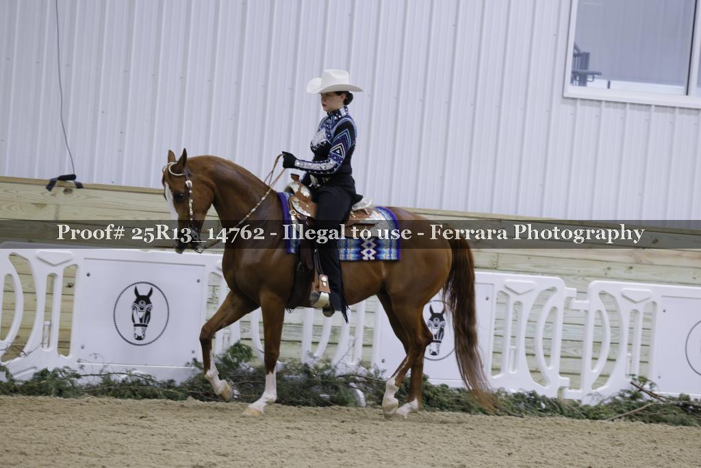 Proof Number 25R13_14762