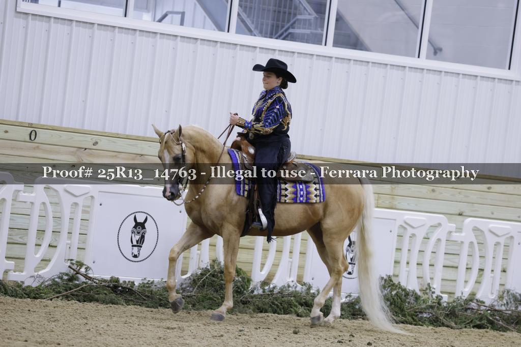 Proof Number 25R13_14763