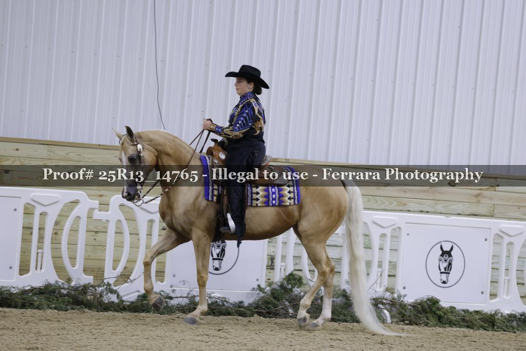Proof Number 25R13_14765