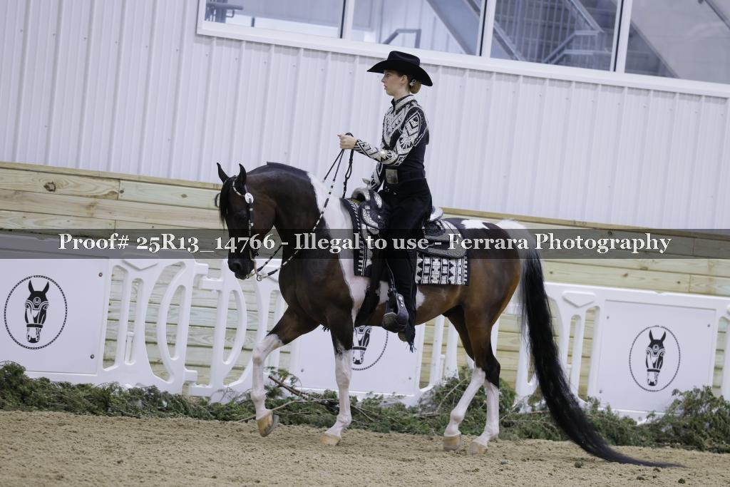 Proof Number 25R13_14766