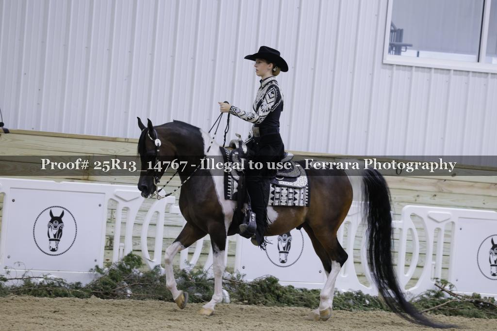 Proof Number 25R13_14767