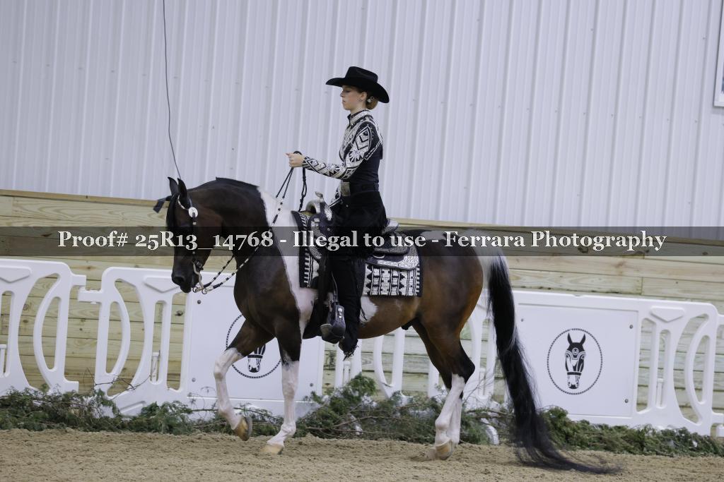 Proof Number 25R13_14768