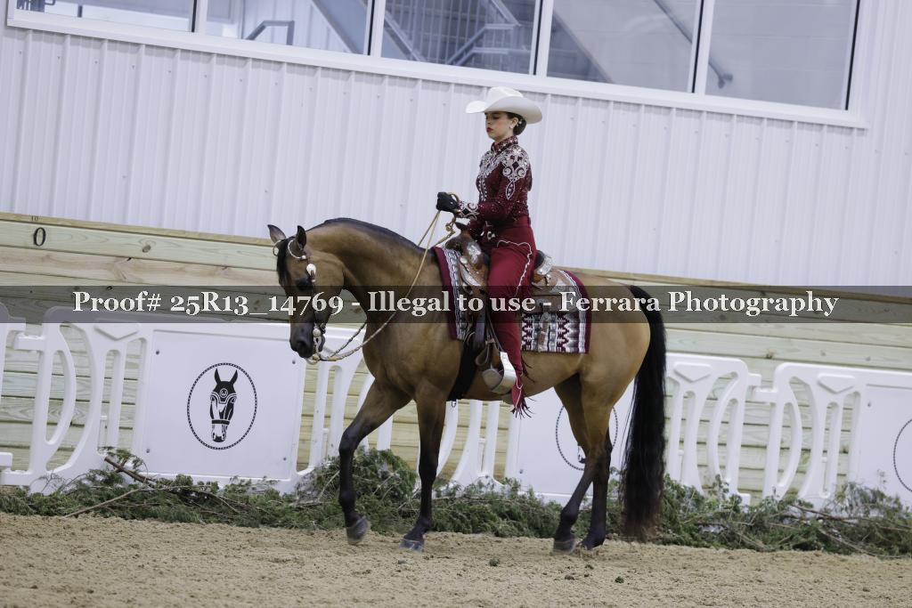 Proof Number 25R13_14769