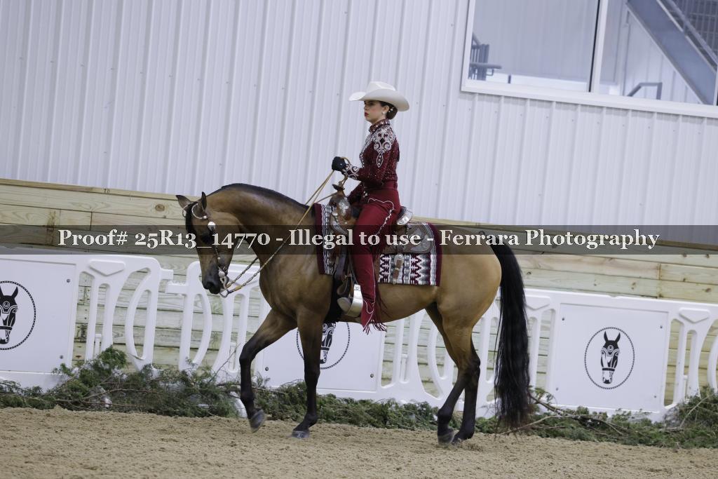 Proof Number 25R13_14770