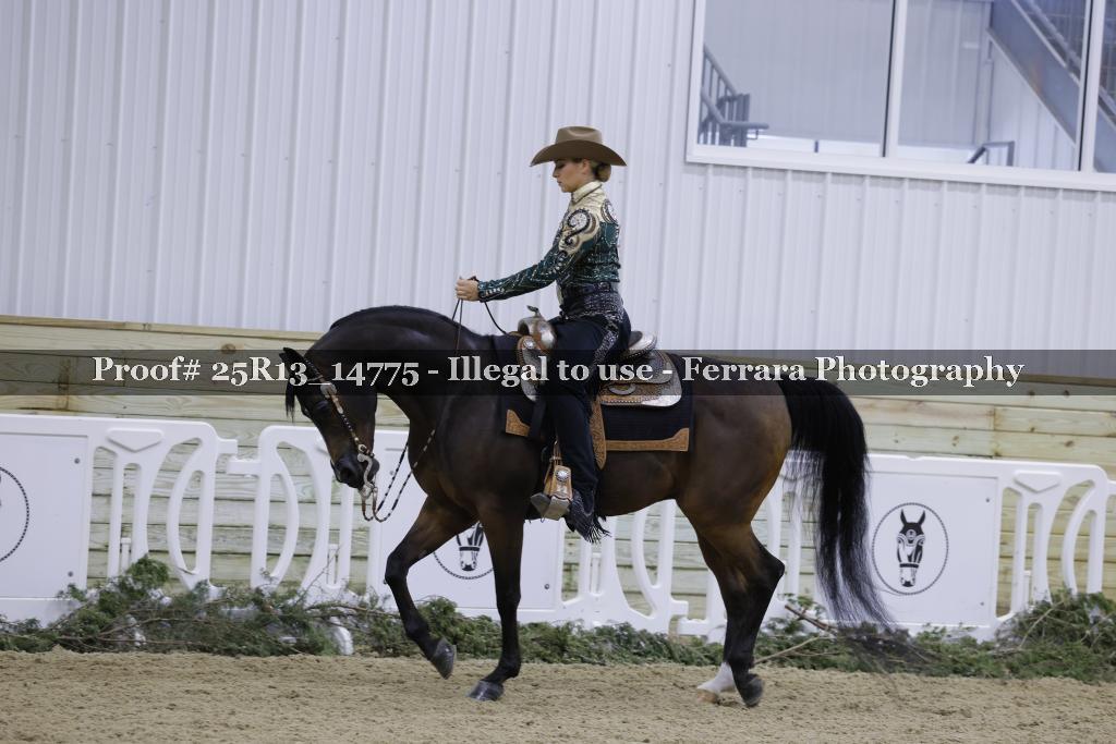 Proof Number 25R13_14775