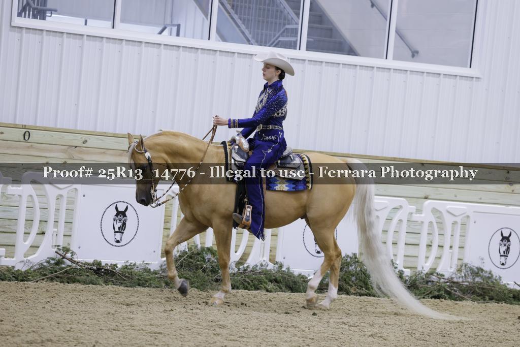 Proof Number 25R13_14776
