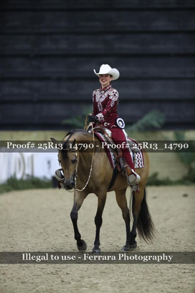 Proof Number 25R13_14790
