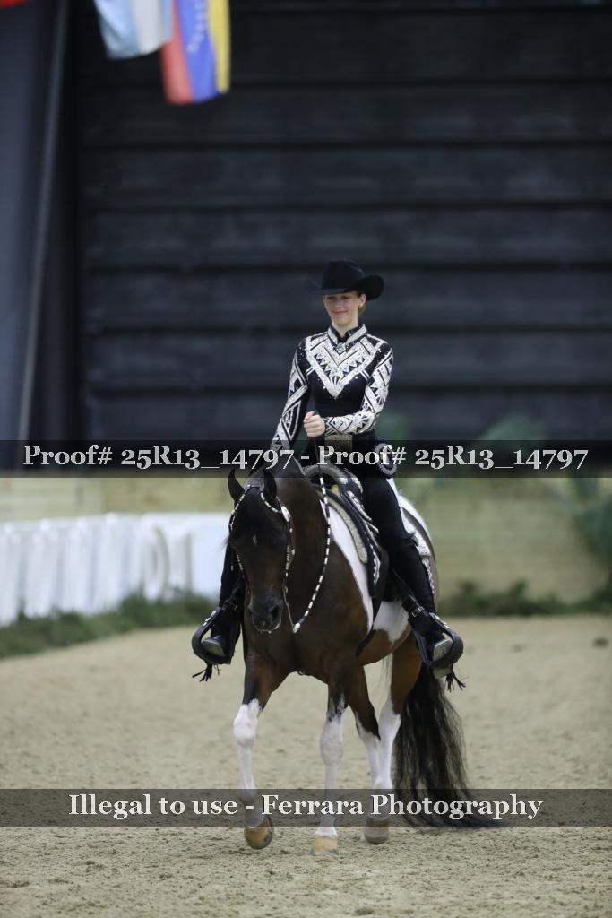 Proof Number 25R13_14797