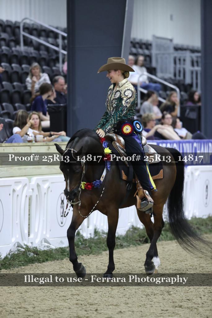 Proof Number 25R13_14817