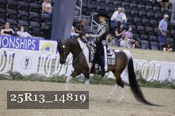 25R13_14819 thumbnail