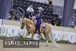 25R13_14825 thumbnail