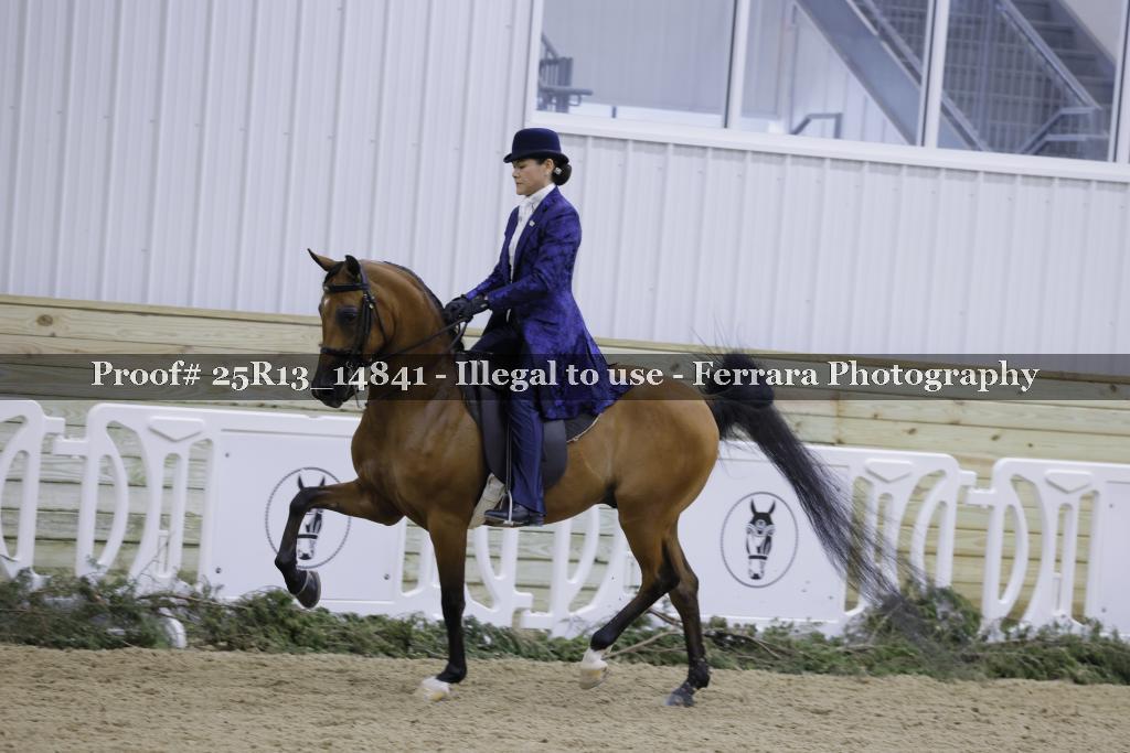 Proof Number 25R13_14841