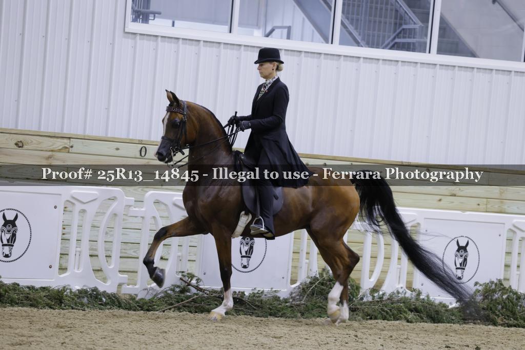 Proof Number 25R13_14845