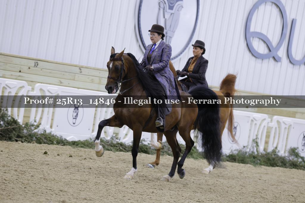 Proof Number 25R13_14846