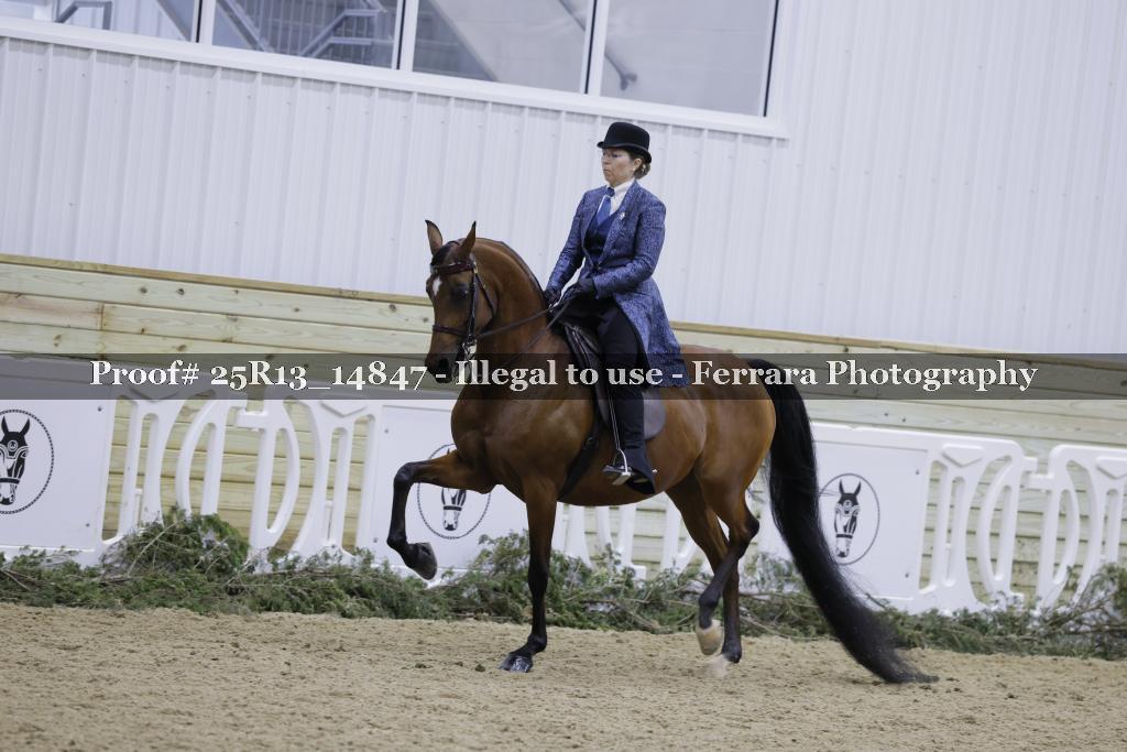 Proof Number 25R13_14847
