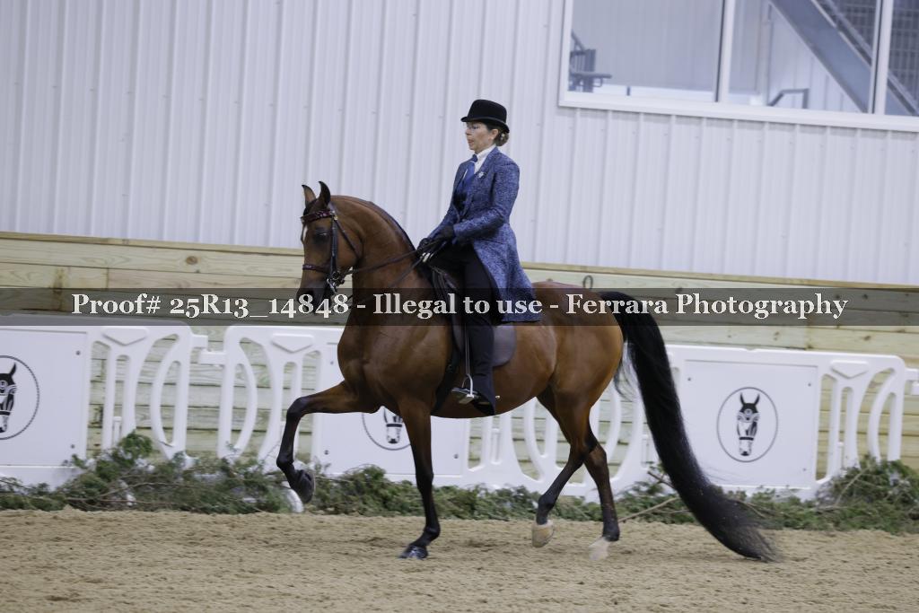 Proof Number 25R13_14848