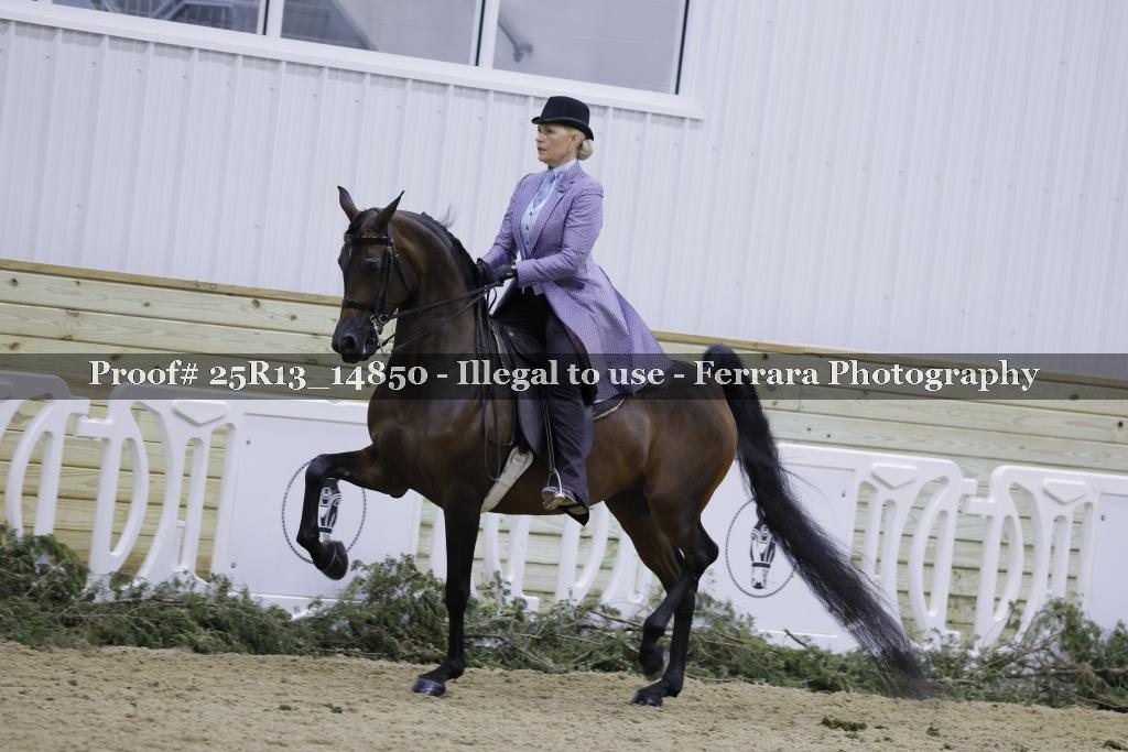 Proof Number 25R13_14850
