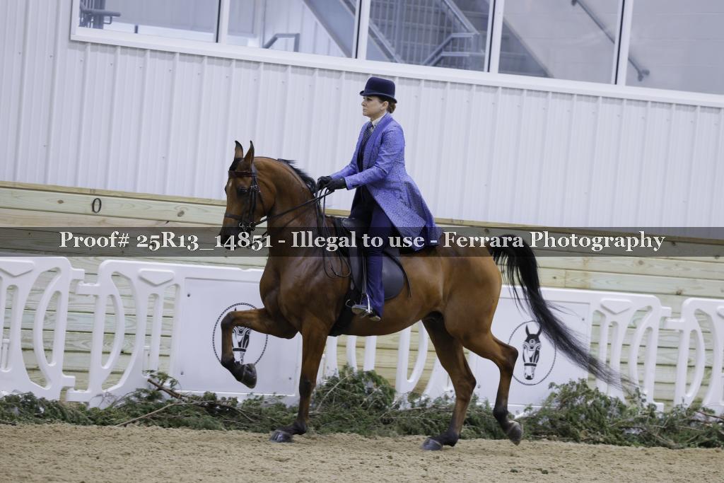 Proof Number 25R13_14851