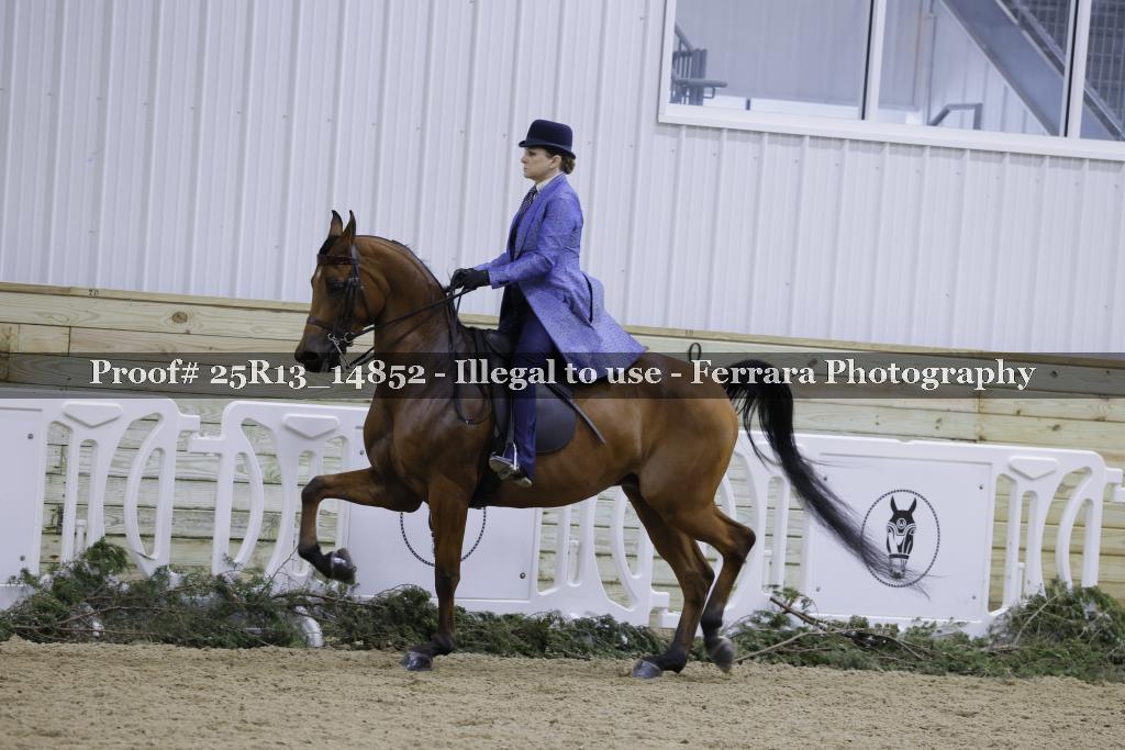 Proof Number 25R13_14852