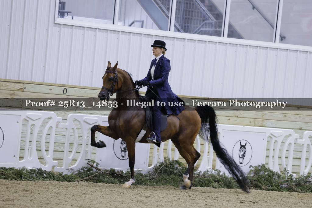 Proof Number 25R13_14853