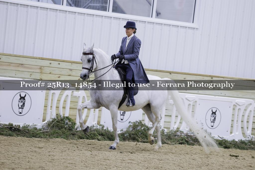 Proof Number 25R13_14854