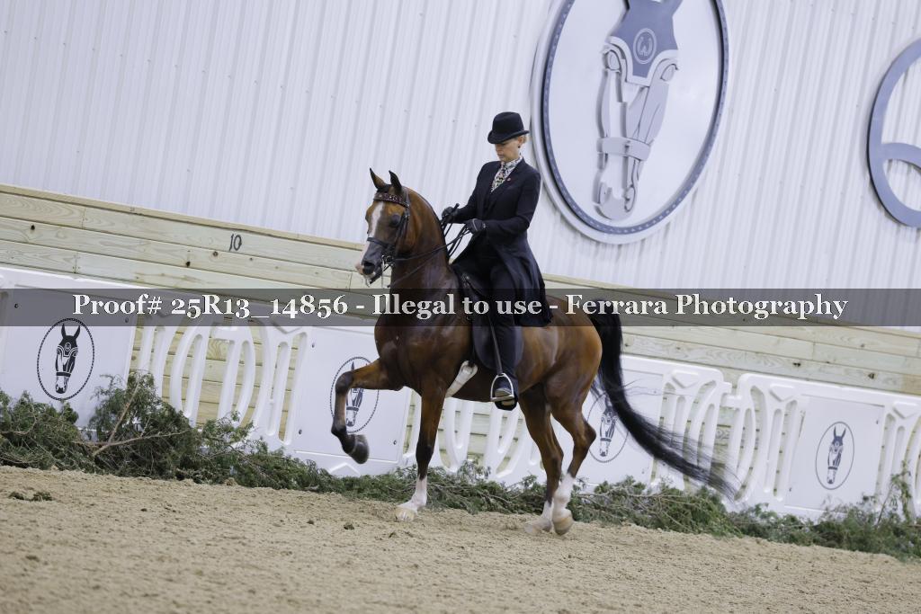 Proof Number 25R13_14856