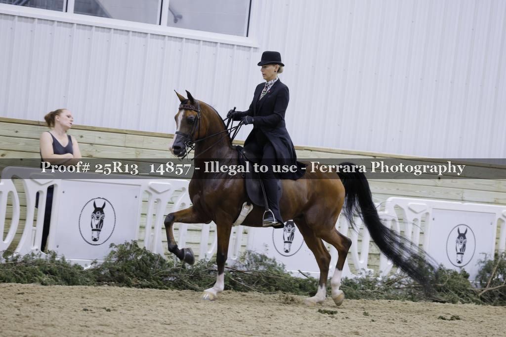 Proof Number 25R13_14857