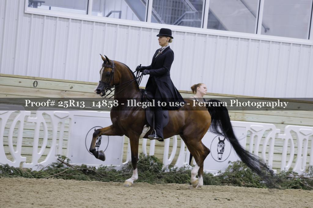 Proof Number 25R13_14858