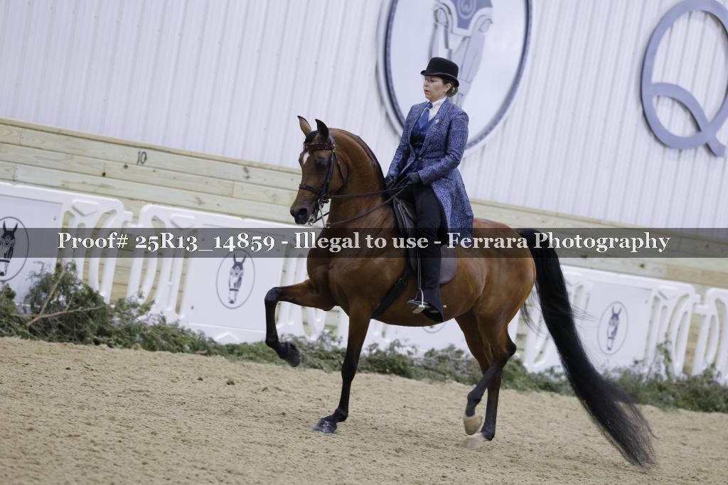 Proof Number 25R13_14859