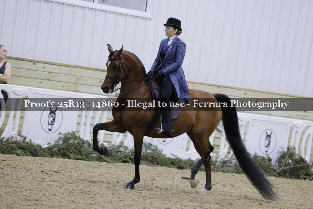 Proof Number 25R13_14860