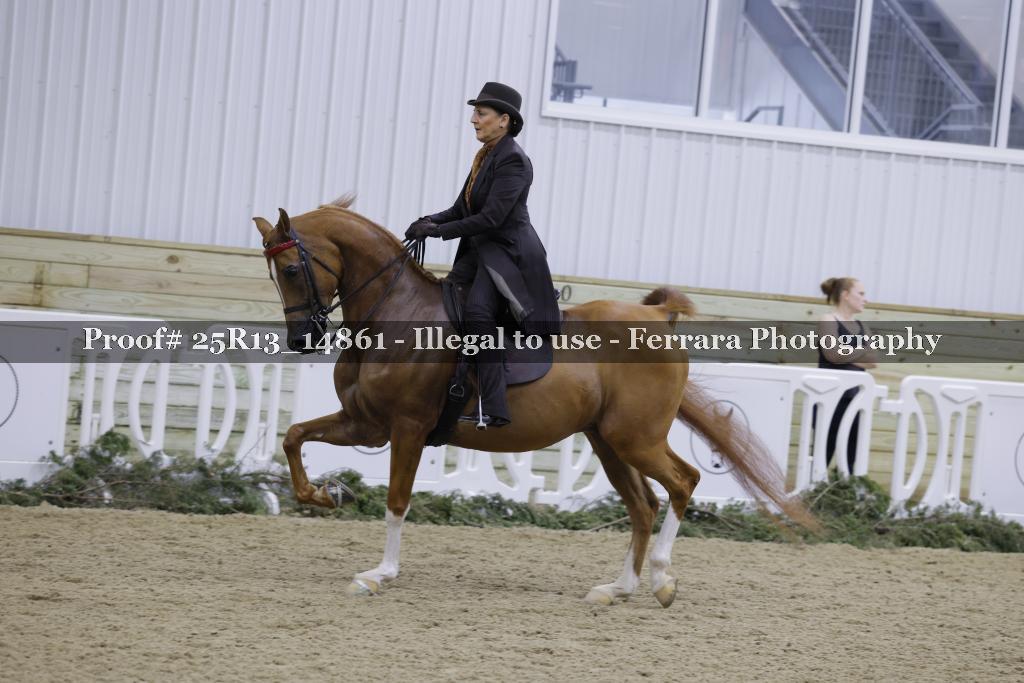 Proof Number 25R13_14861