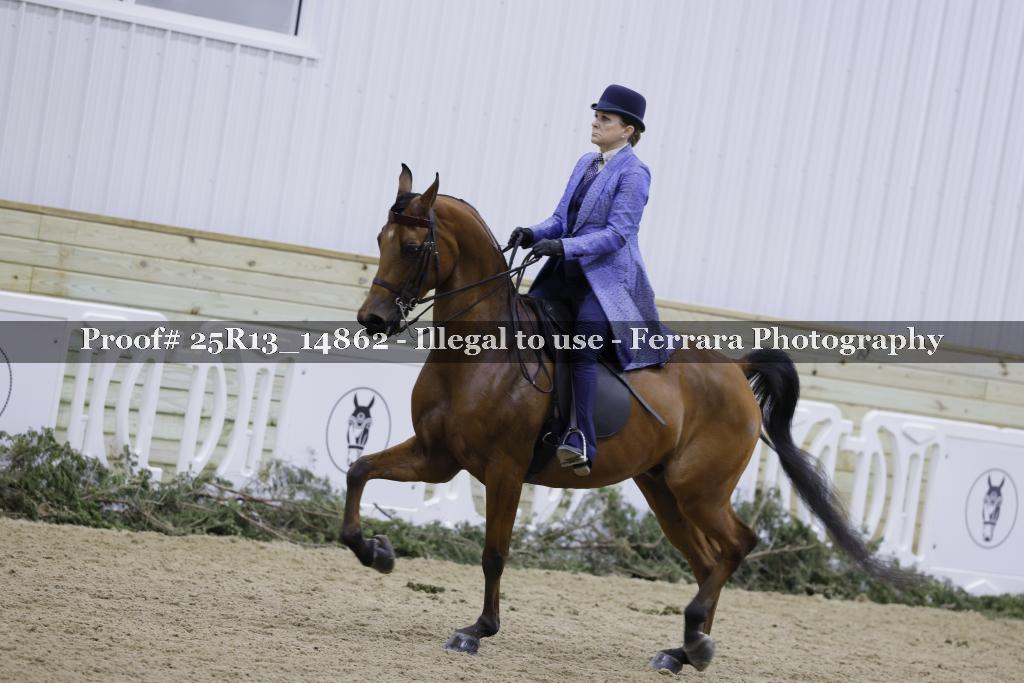 Proof Number 25R13_14862