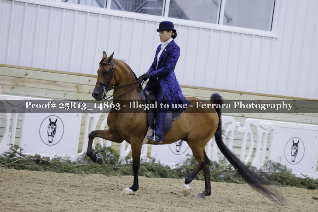 Proof Number 25R13_14863