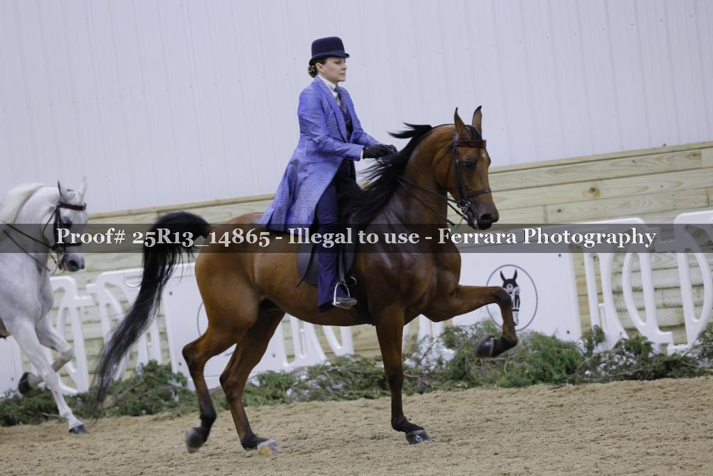 Proof Number 25R13_14865