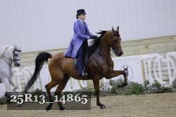 25R13_14865 thumbnail
