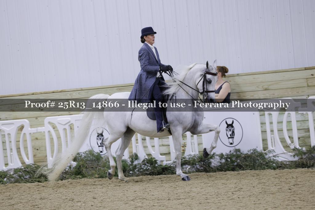 Proof Number 25R13_14866